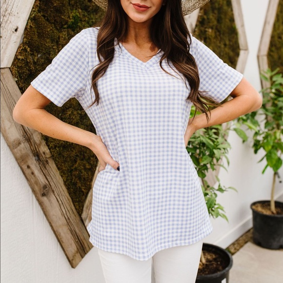 Gingham V-Neck Top in Pale Pink - Picture 8 of 8